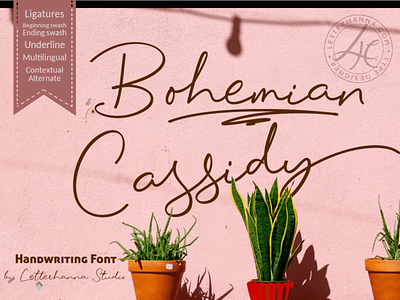 Bohemian Cassidy Font branding calligraphy design handwritten illustration logo script font typeface