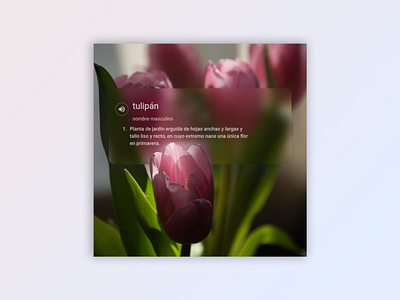 Tulips design flowers notification photoshop