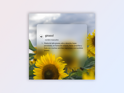 Sunflower design flowers notification photoshop poster