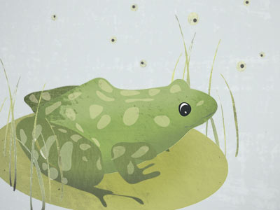 Frog2 illustration
