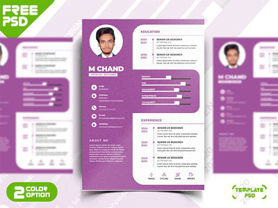 Professional Resume Design Template PSD backupgraphic clean creative cv doc docx freepsd graphicdesign infographic job manager microsoft modern photoshop professional psd resume student template word