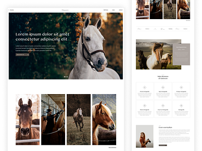 Horse photographer webdesign design figma ui ux web webflow