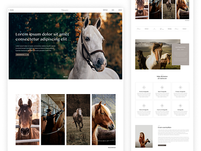 Horse photographer webdesign