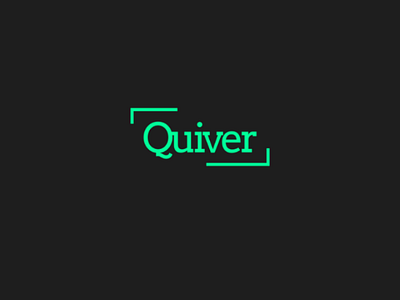 Quiver identity design branding design logo logodesign logotype