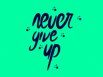 Never Give Up