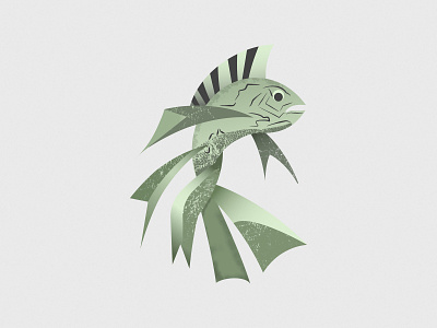 Fish aquatic design fish illustration lagos pinterest vector vectorart visualdesigner