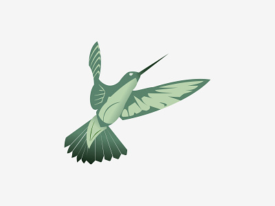 Hummingbird design graphicarts illustration vector