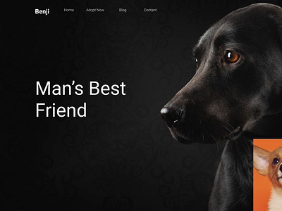 landing Page For Benji