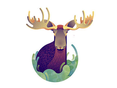 Deer Series - Moose