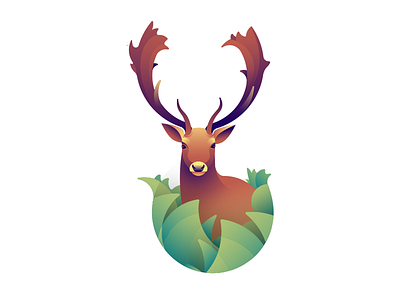 Deer Series - Fallow Deer