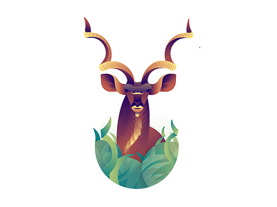 Deer Series - Greater Kudu adobe animal animal art deer deers greater kudu illustration illustrator kudu series vector illustration
