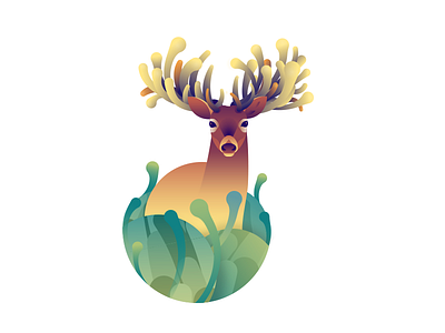 Deer Series - White Tailed Buck