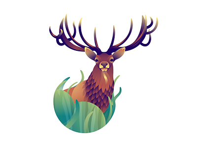 Deer Series - Stag