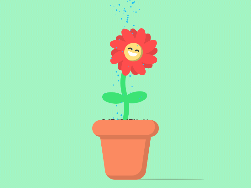 Flower Shower 2.5d 24 fps after effects animation character flower happy shower