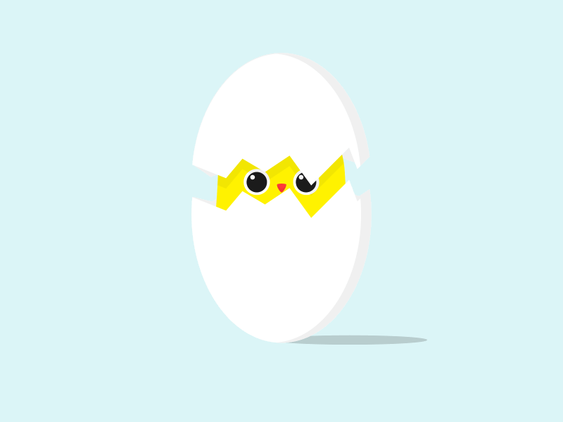 Chick 24 fps after effects animation character chick chicken cute egg