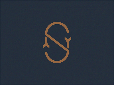 SN brand design icon identity illustration letter logo sign symbol