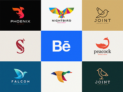 Creative bird collection on BEHANCE bird