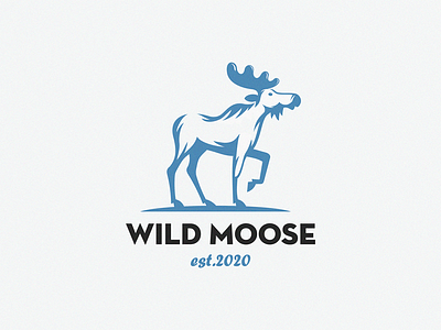 wild moose moose wild wild animals wild west