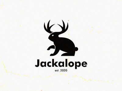 Jackalope jackalope rabbit