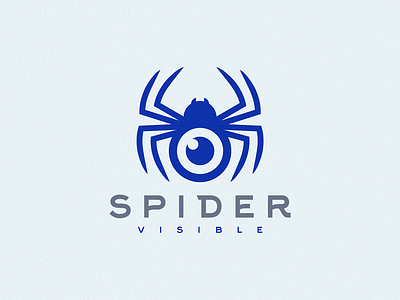 spider visible