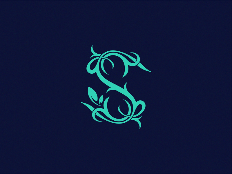 letter S by Yuri Kartashev on Dribbble