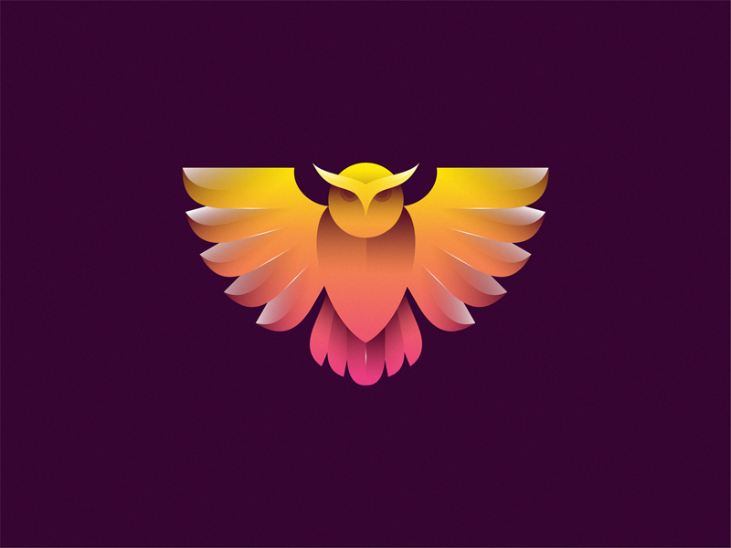 Owl by Yuri Kartashev on Dribbble