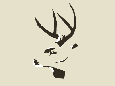 Buck antlers deer