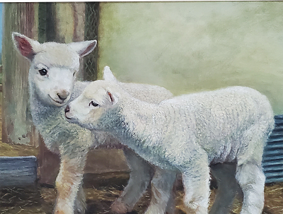 Lamb Lovers delightful furry holy innocent joy lamb lamb of god lovers pure sheep together warmth white