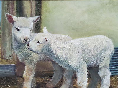 Lamb Lovers