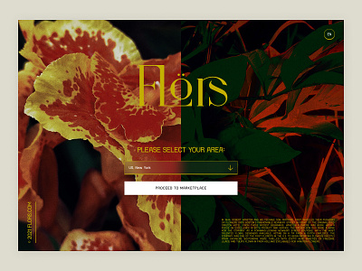Flörs - Flowers Marketplace design desktop flowers logo typography ui ux