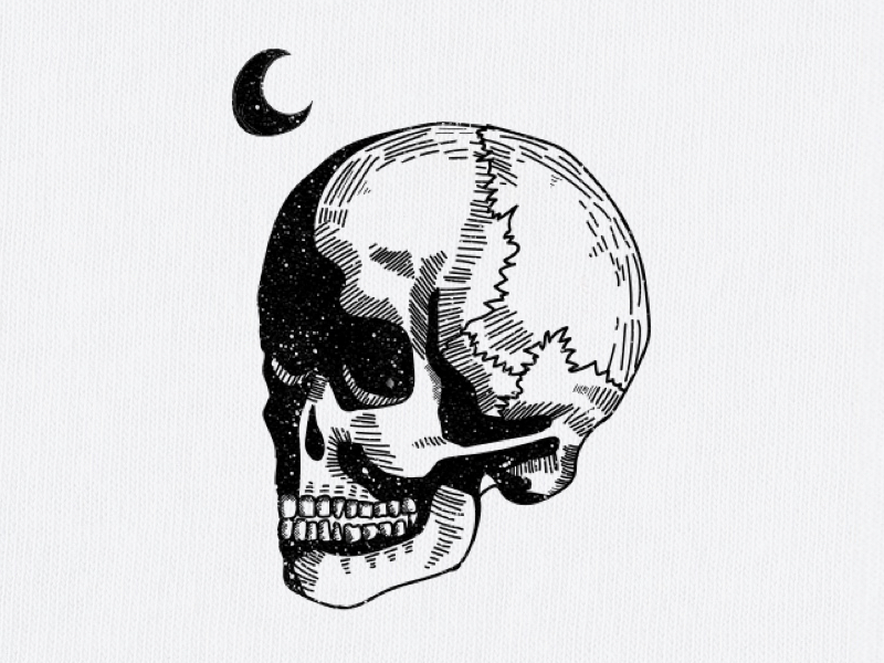 Skull illustration for clothing brand by Robin Heij on Dribbble