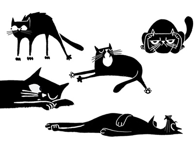 Cat studies black cat character expressions illustration ink kidlitart personality sketches study