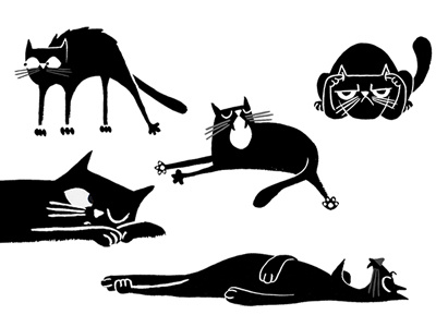 Cat studies