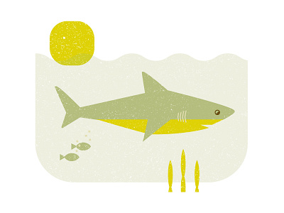 Shark fish illustration ocean shark sun