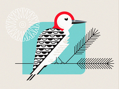 Redhead bird geometric illustration woodpecker