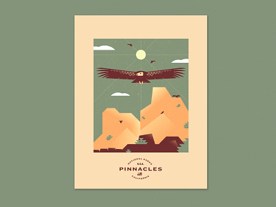 Pinnacles N.P. california california condor california national parks condor geometric national park national parks nature pinnacles pinnacles national park turkey vulture vulture