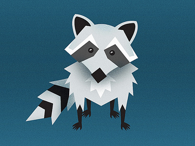 Raccoon animals blue geometric grey illustration raccoon