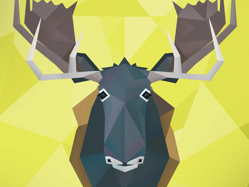 Moose moose animal geometric illustration triangular triangles lime green blue antlers mount stag horns