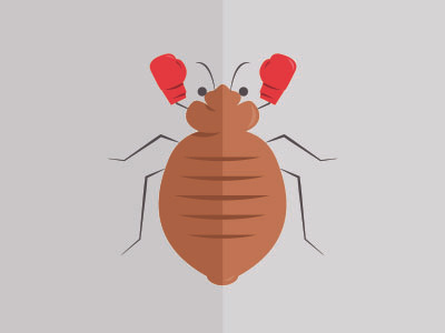 Bedbugs bedbugs dontgiveup flat fun illustration vector