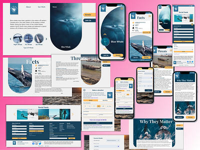 Non-Profit Responsive Webdesign "Whale"