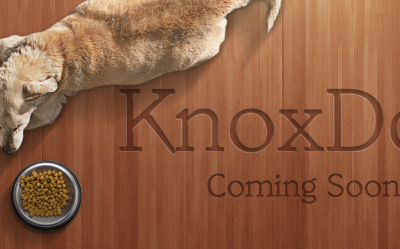 KnoxD... Coming soon coming soon concept dogs web