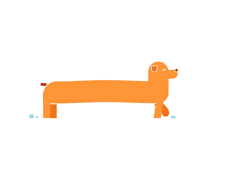 Sausage dog dog quasimodo sausage tail walk cycle