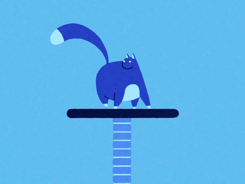 Cat snippet animal blue butt cat spin tail walk