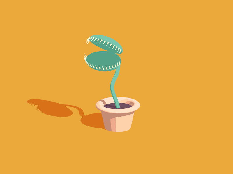quick test carnivorous cel cinema4d fly plant sketch and toon