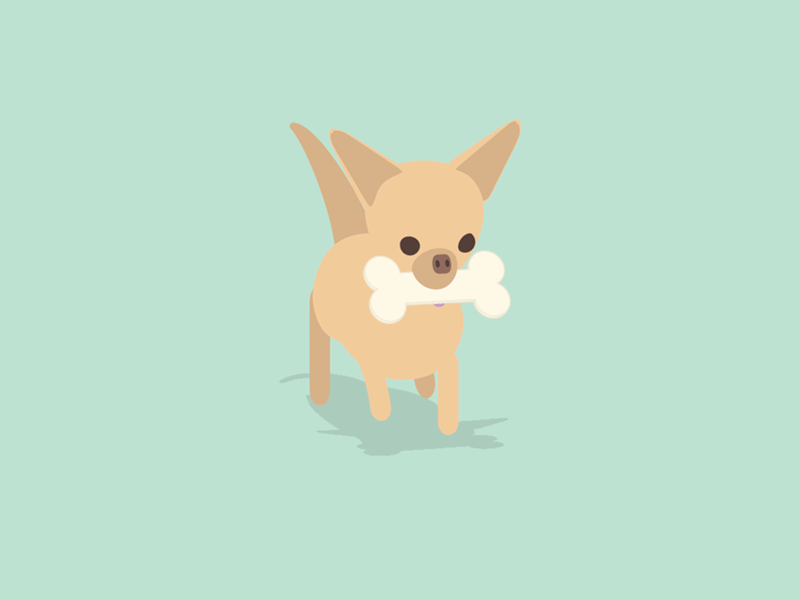 Chihuahua cel shader cinema 4d dog sketch and toon