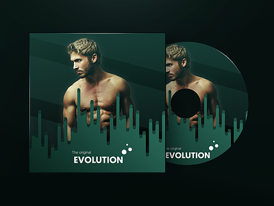 The orignal Evolution (Album Cover) album art cover evolution original