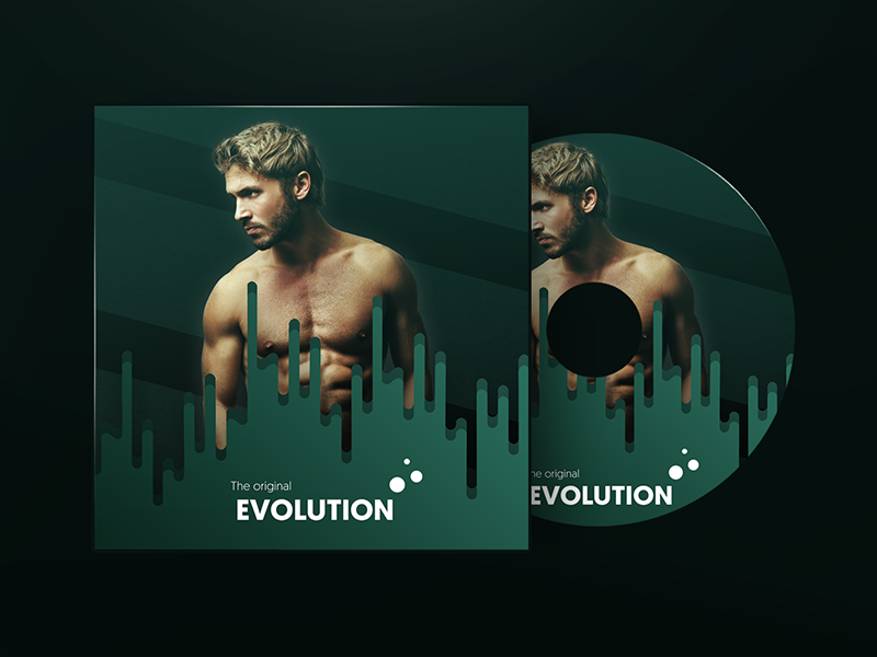 The orignal Evolution (Album Cover) art album evolution cover original