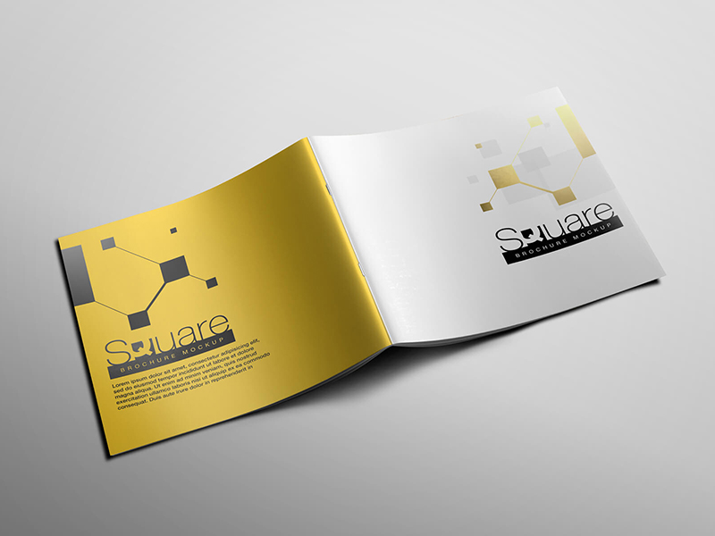 Download Square Brochure Mockup by Vectogravic Design | Dribbble ...