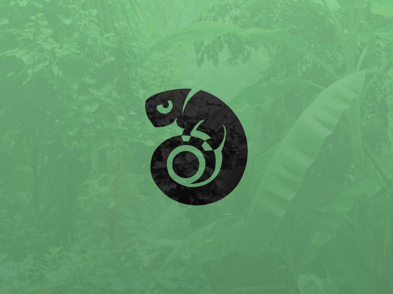 Chameleon sport simple space negative branding chameleon animal logo
