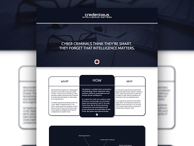 Credentious Web Design cyber design landingpage security ui web